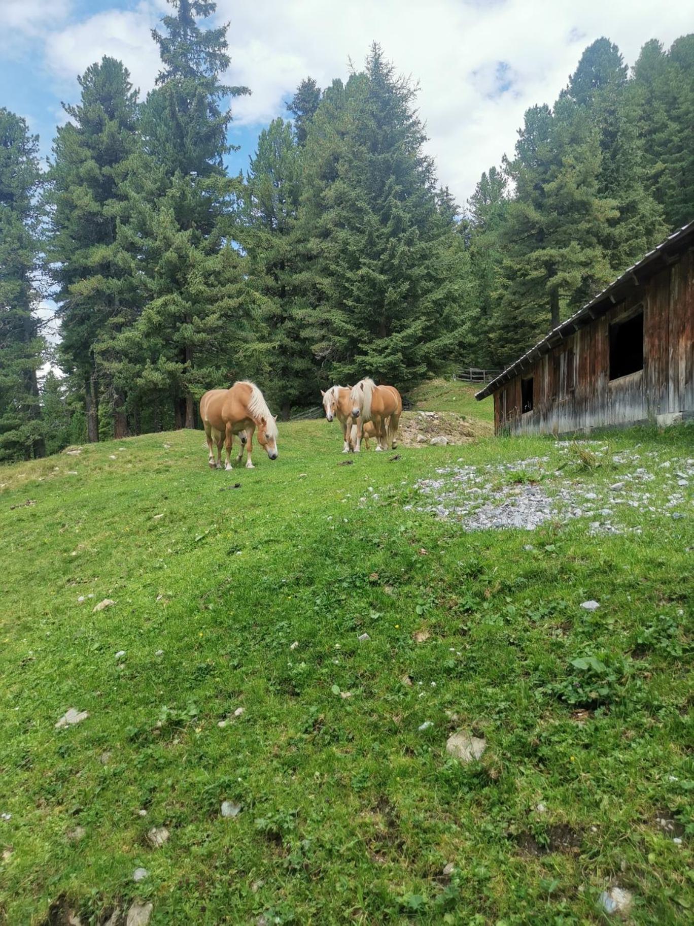 Апарт готель Pitztal Living Єрценс Екстер'єр фото